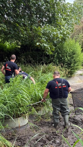 Feuerwehr MTK: Drei Einsätze an einem Tag: Gebäudebrand, Tierrettung und Aufzugsrettung