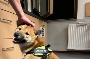 Polizei Münster: POL-MS: Hund am Kanal ausgesetzt - Wer kennt den Vierbeiner?
