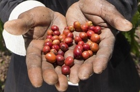 GEPA mbH: Einladung zur Pressekonferenz und Fototermin auf der BIOFACH in Nürnberg / Die GEPA legt Schwerpunkt auf Afrika