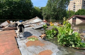 PETA Deutschland e.V.: Fotos von Rettungsaktion: PETA und Animal Rescue Kharkiv bergen Menschen und Tiere in Cherson mit Booten aus überfluteten Orten