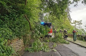 Feuerwehr Wetter (Ruhr): FW-EN: Wetter - Ast über Fahrbahn