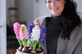 Blumenbüro: Hyazinthe ist Zimmerpflanze des Monats Dezember / Hyazinthe verspricht Frühlingsgefühle mitten im Winter (mit Bild)