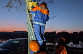Feuerwehr Beverungen: FW Beverungen: Jugendfeuerwehr Herstelle engagiert sich im Naturschutz / Zw&ouml;lf Vogelnisthilfen f&uuml;r die heimische Natur