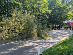 POL-STD: 56-jährige Autofahrerin bei Unfall in Harsefeld schwer verletzt - Kreisstraße gesperrt
