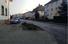 Polizeipräsidium Westpfalz: POL-PPWP: Zeugen gesucht: Autofahrer fährt zwei Bäume um