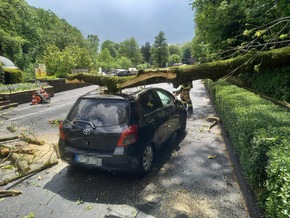 FW-EN: Massiver Baum st&uuml;rze auf fahrenden Pkw - Zwei Verletzte bei Unfall in Herdecke - Gro&szlig;es Gl&uuml;ck f&uuml;r Insassen