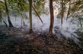 Freiwillige Feuerwehr Lehrte: FW Lehrte: Waldbrand im Hämelerwald: 450 Einsatzkräfte bekämpfen Feuer auf über 20 Hektar Fläche