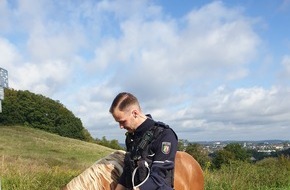 Polizei Hagen: POL-HA: Wildes Eilpe - Polizist fängt entlaufenes Pferd