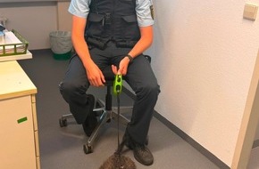 Polizeipr&auml;sidium Offenburg: POL-OG: Ringsheim, A5 - Hilfe f&uuml;r Seniorin und ihren vierbeinigen Begleiter - Mit guten Nachrichten ins Wochenende