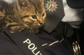 Polizei Hagen: POL-HA: Katze aus Kellerschacht gerettet