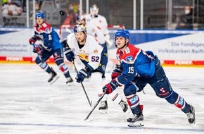 Global Nature Fund: Adler fliegen auf Nachhaltigkeit: Eishockeyklub engagiert sich für öko-faires Merchandising