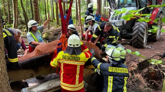 FW Bad Säckingen: Tierrettung - Pferd eingebrochen