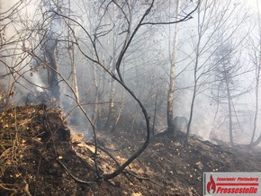 FW-PL: Waldgebiet Kirchlöh. Rund 10.000 Quadratmeter Waldfläche in Brand geraten. Löscharbeiten unter schwierigen Bedingungen.