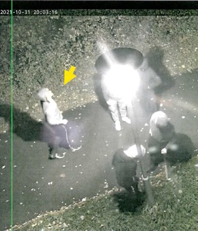 POL-DO: 26 Laternen in Lünen beschädigt - Polizei fahndet mit Fotos nach fünf Tatverdächtigen