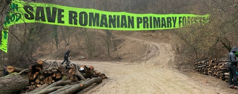 Robin Wood e.V.: Protest gegen Zerstörung rumänischer Urwälder für Stromtrasse