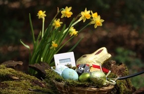 E.ON Energie Deutschland GmbH: Energiespartipps zum Osterfest - Kochen mit Köpfchen (FOTO)
