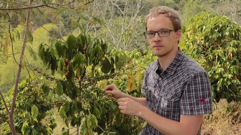 ZDF: "Klimawandel im Supermarkt - wie sich unser Essen verändert": "planet e." im ZDF über Zukunftsszenarien für Produkte wie Kaffee, Bananen & Co. (FOTO)