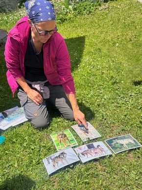 Grosse Beutegreifer und Tourismus: Neue Angebote erm&ouml;glichen vielseitige Einblicke