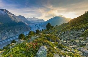 Aletsch Arena AG: Story-Idee: Waldgeschichten zum Tag des Waldes am 21. März 2023