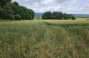 Polizeiinspektion Nienburg / Schaumburg: POL-NI: Mit Transportfahrzeug durch Getreidefeld gefahren und Sperrmüll entsorgt