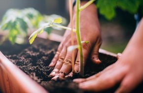 toom Baumarkt GmbH: Erste HORTICERT-Zertifizierung geht an REWE Group-Erdenwerk Gebrüder Mayer/toom: Weiterer Meilenstein im Torfausstieg erreicht