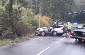 Polizeiinspektion Heidekreis: POL-HK: Verkehrsunfall mit tödlichem Ausgang