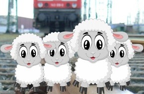 Bundespolizeiinspektion Kassel: BPOL-KS: Schafe auf Gleisen stoppen Zugverkehr