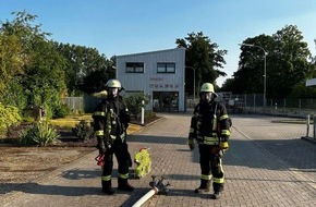 Feuerwehr Schermbeck: FW-Schermbeck: Einsatzstichwort "Gasaustritt"