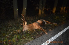 Kreispolizeibehörde Wesel: POL-WES: Kreis Wesel - Warnung Wildwechsel / Auto stieß in Schermbeck mit Hirsch zusammen / Zwei Frauen hatten Glück im Unglück