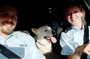 Kreispolizeibehörde Märkischer Kreis: POL-MK: Hund im Glück