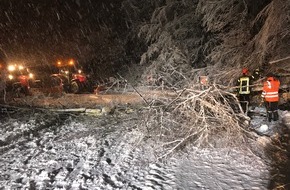 Feuerwehr Haan: FW-HAAN: Bäume und Äste brechen unter Schneelast