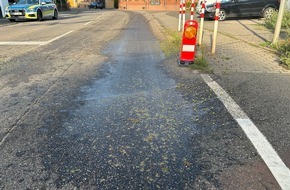 Polizeidirektion Landau: POL-PDLD: Edesheim - Verlorene Traubenladung sorgt f&uuml;r Rutschgefahr - Zeugen gesucht