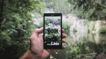 ProHolz Bayern: Wald gibt es ab sofort auch im Internet!