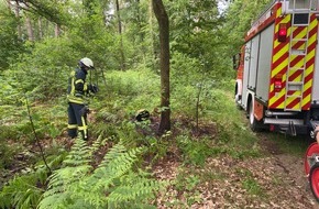 Kreisfeuerwehr Rotenburg (Wümme): FW-ROW: ++ Unklarer Brandgeruch nach Stromausfall ++ Feuer im "Großen Holz" in Zeven