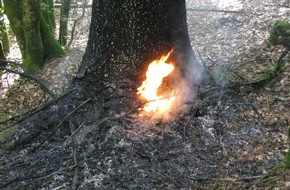 Polizeidirektion Pirmasens: POL-PDPS: Mehrere Fälle versuchter Brandstiftung im Waldgebiet "Clauser Tal"