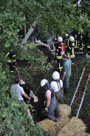 FW-KLE: Aufwendige Tierrettung: Kuh aus Graben gerettet