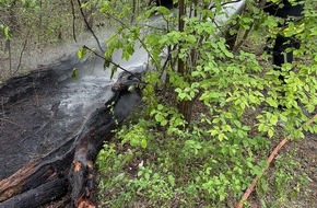 Feuerwehr M&uuml;nchen: FW-M: Feuer in der Langwieder Heide dank Drohne schnell gel&ouml;scht