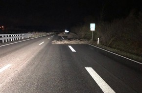Polizeidirektion Landau: POL-PDLD: Neustadt / A 65 - Vollsperrung der Autobahn durch herumfliegende Bäume