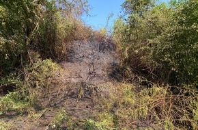 Feuerwehr Schermbeck: FW-Schermbeck: Böschungsbrand an der Maassenstraße