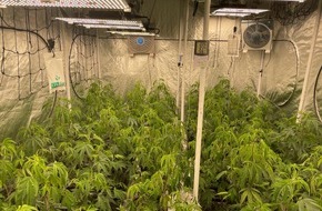 Polizeidirektion Kiel: POL-KI: 240306.1 Kiel: Cannabispflanzen-Plantage in Wohnung entdeckt