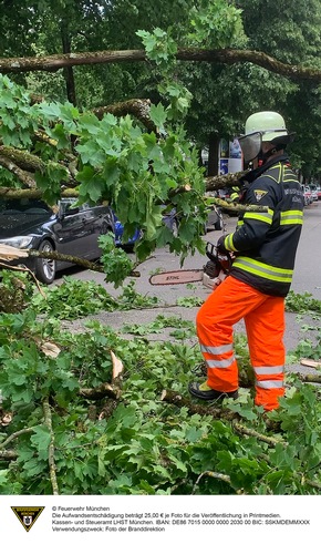 FW-M: Herabfallender Ast beschädigt mehrere Fahrzeuge (Neuhausen)