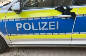 Polizeiinspektion Nienburg / Schaumburg: POL-NI: Hilfe f&uuml;r Batman