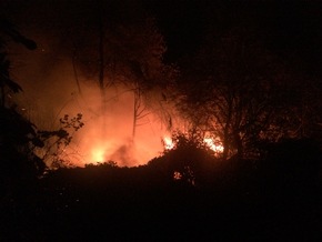 FW-EN: Brennende Gartenlauben sorgten für Großeinsatz der Hattinger Feuerwehr