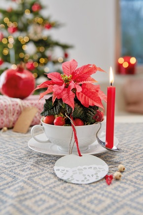 DIY-Tipp zum dritten Advent - Upcycling trifft Vintage: adventliche Tischdekoration mit Weihnachtssternen