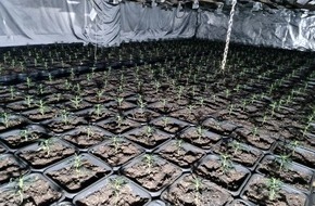 Polizei Wuppertal: POL-W: W Kellerbrand in Wuppertal-Elberfeld - Cannabis-Plantage entdeckt