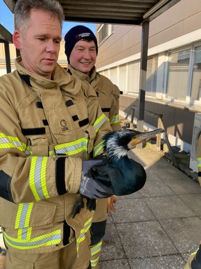 FW-HB: Ein tierischer Ausnahmefall in der Notaufnahme