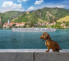 Pressemitteilung &ndash; Hund gratis dabei: TV-Sender vermittelt Kreuzfahrt f&uuml;r vier Pfoten