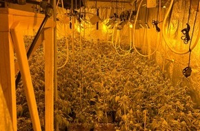 Polizei Köln: POL-K: 241014-1-K Professionelle Cannabisplantage entdeckt und 600 Pflanzen sichergestellt - zwei Tatverdächtige festgenommen und Kellerräume sowie Privatwohnungen durchsucht