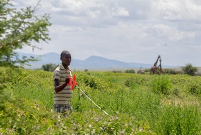 Projekt zum Biodiversit&auml;tsschutz in Tansania: AbTF zieht positive Zwischenbilanz zum Tag der Erde