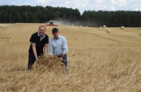 Deutscher Bauernverband (DBV): Getreideernte 2016 hat begonnen - Deutsche Bauern erwarten durchschnittliche Erträge - Brandenburg: Starkregen reduziert Ertrag